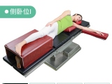 侧卧位所使用的海绵欲漫涩漫画有哪些？